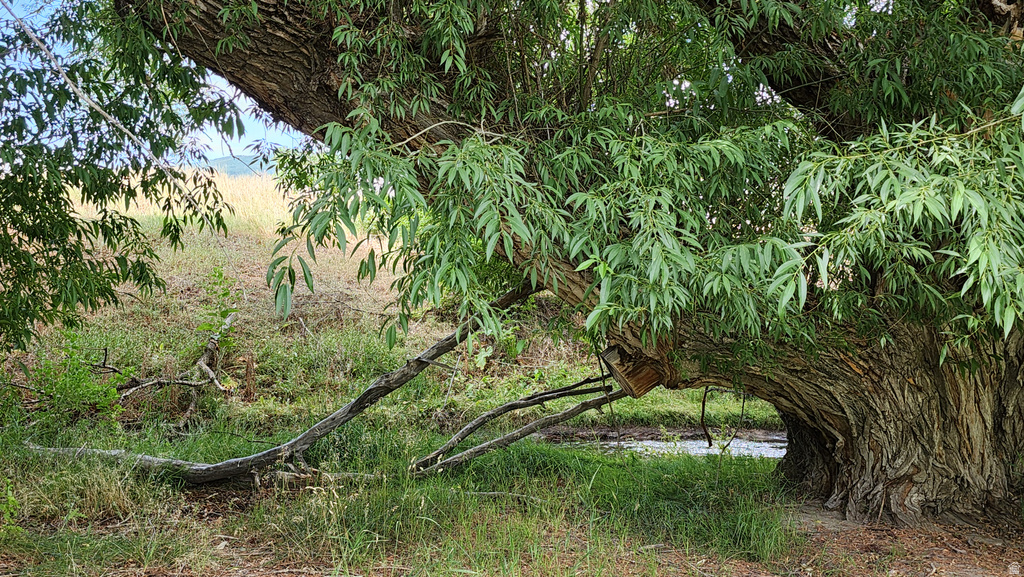 806  STRINGTOWN RD Midway, UT 84049