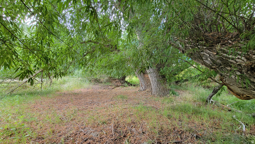 806  STRINGTOWN RD Midway, UT 84049