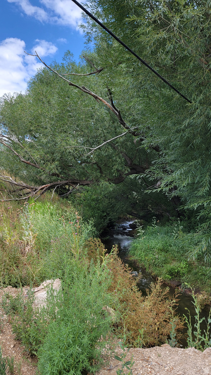 806  STRINGTOWN RD Midway, UT 84049