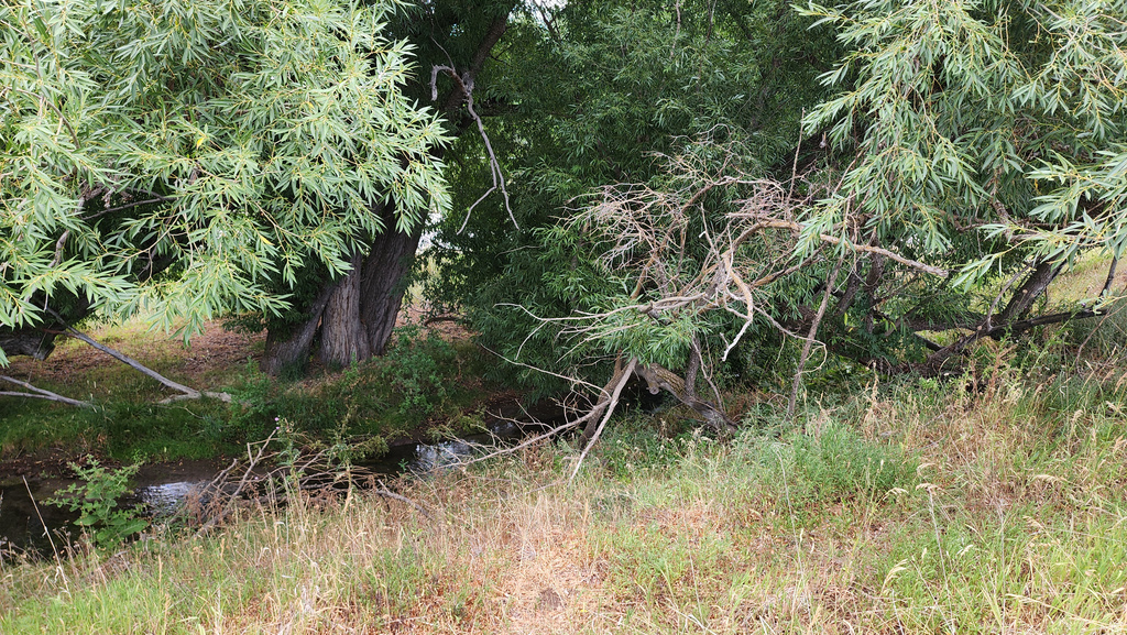 806  STRINGTOWN RD Midway, UT 84049