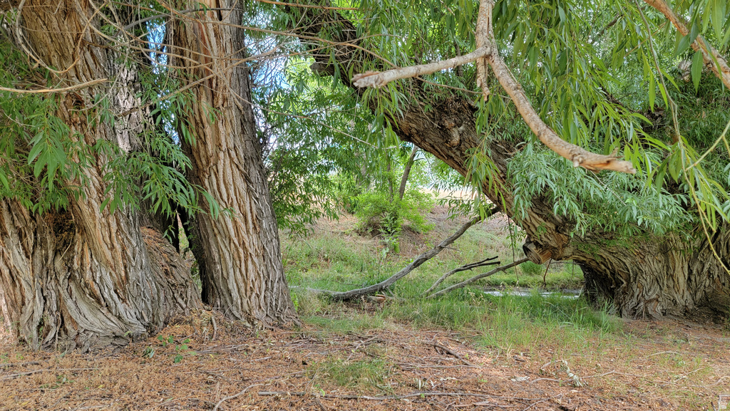 806  STRINGTOWN RD Midway, UT 84049