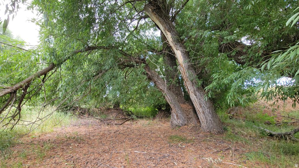 806  STRINGTOWN RD Midway, UT 84049