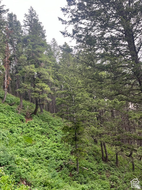 415 E MATTERHORN DR. Park City, UT 84098