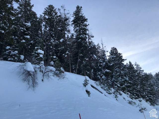 415 E MATTERHORN DR. Park City, UT 84098