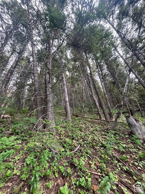 415 E MATTERHORN DR. Park City, UT 84098