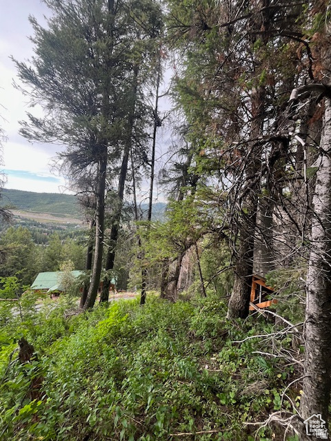 415 E MATTERHORN DR. Park City, UT 84098