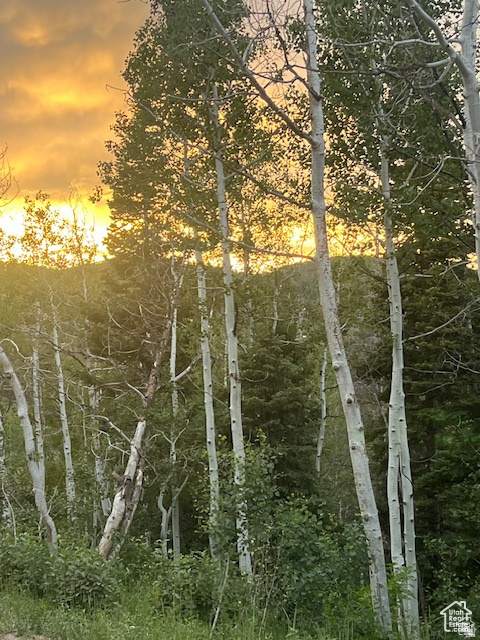 415 E MATTERHORN DR. Park City, UT 84098