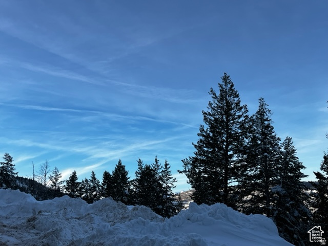 415 E MATTERHORN DR. Park City, UT 84098