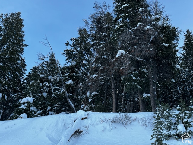 415 E MATTERHORN DR. Park City, UT 84098