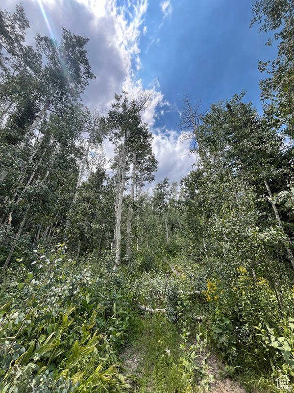 2102 S UINTAH VIEW DR Coalville, UT 84017