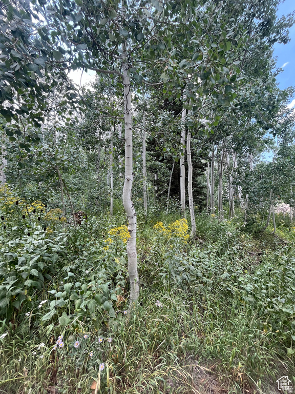 2102 S UINTAH VIEW DR Coalville, UT 84017