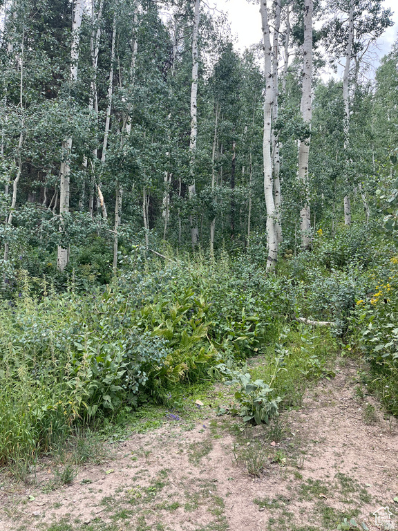 2102 S UINTAH VIEW DR Coalville, UT 84017