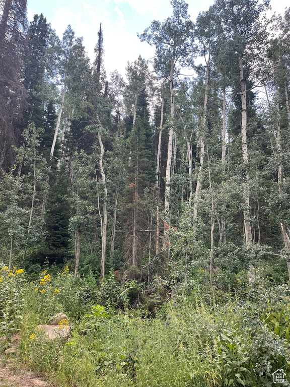 2102 S UINTAH VIEW DR Coalville, UT 84017