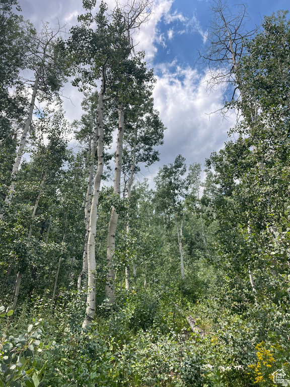 2102 S UINTAH VIEW DR Coalville, UT 84017