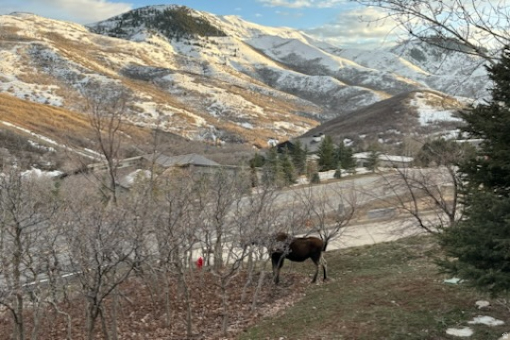 5475 E PIONEER FORK ROAD RD Salt Lake City, UT 84108