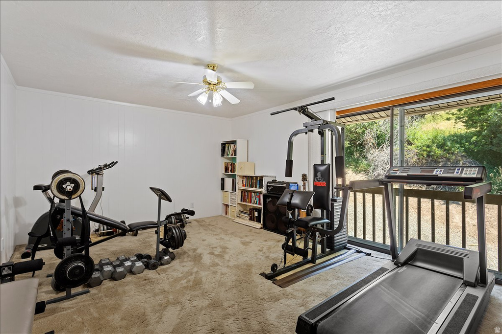 2391 KAYS CREEK DR Layton, UT 84040