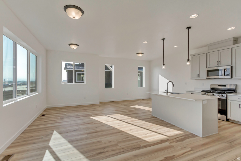 1102 W 1580 N #172 Salem, UT 84653