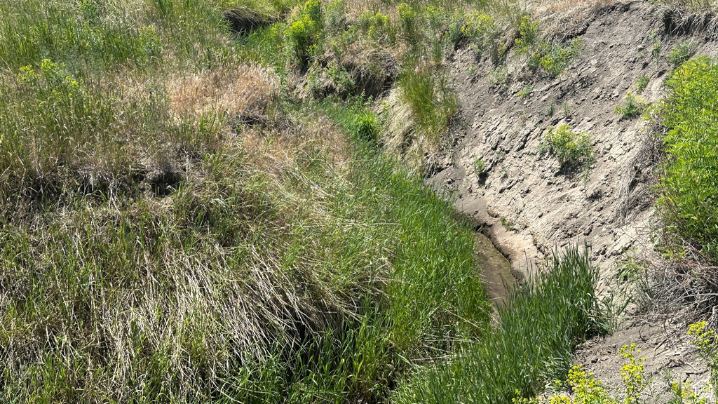 7605 W BLACK CANYON RD Weston, ID 83286