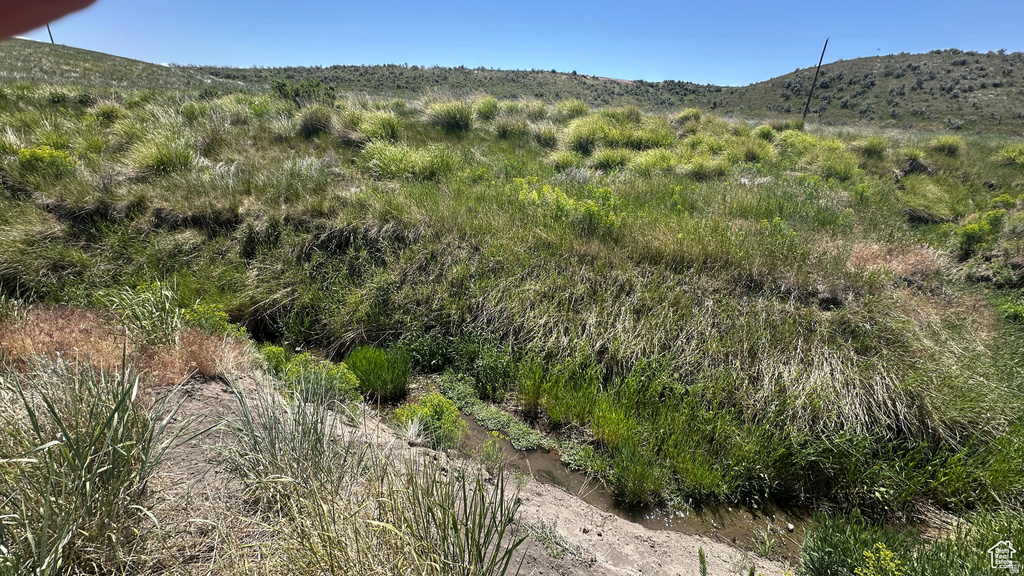 7925 W BLACK CANYON RD Weston, ID 83286