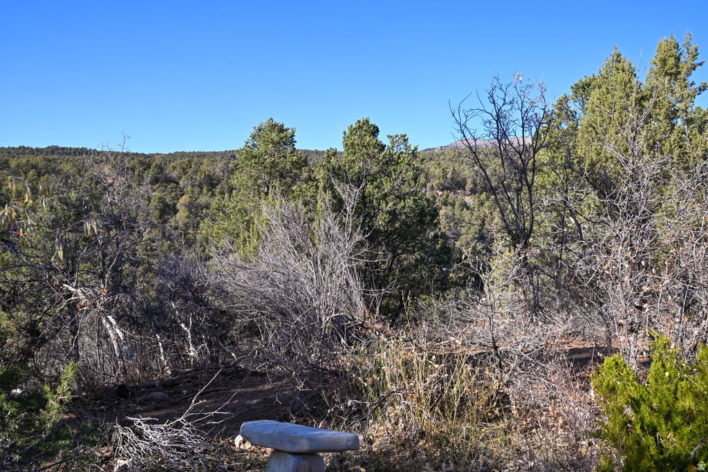 6 S NORTH FORK RD Orderville, UT 84758