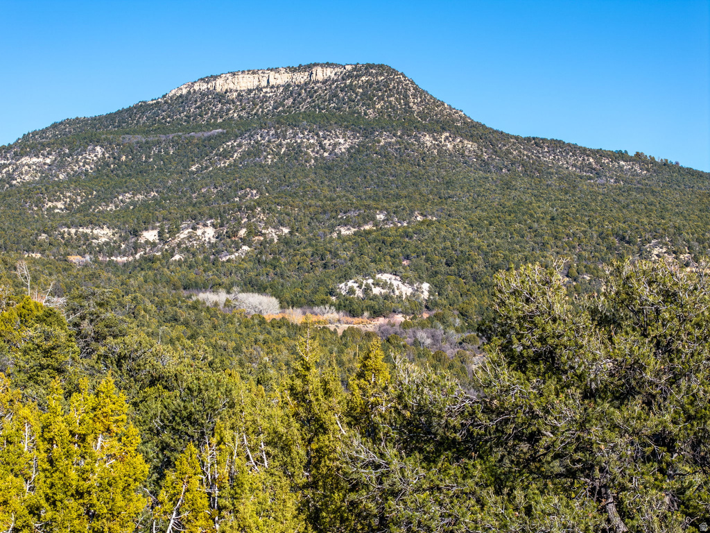 6 S NORTH FORK RD Orderville, UT 84758