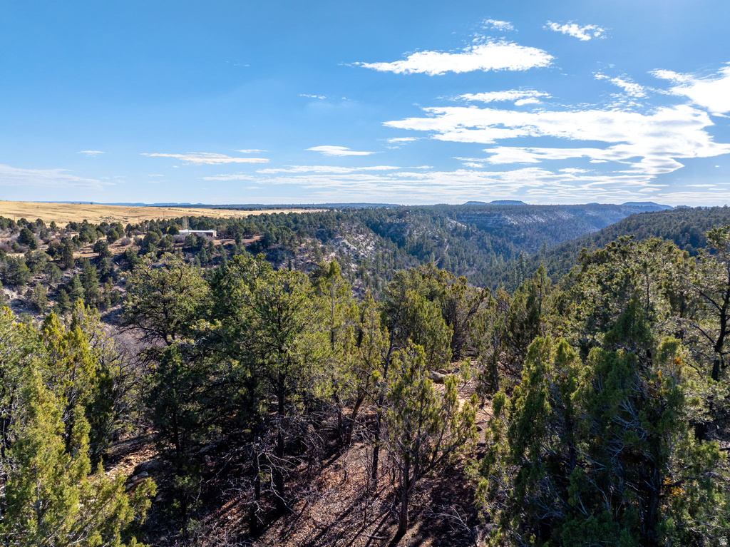 6 S NORTH FORK RD Orderville, UT 84758