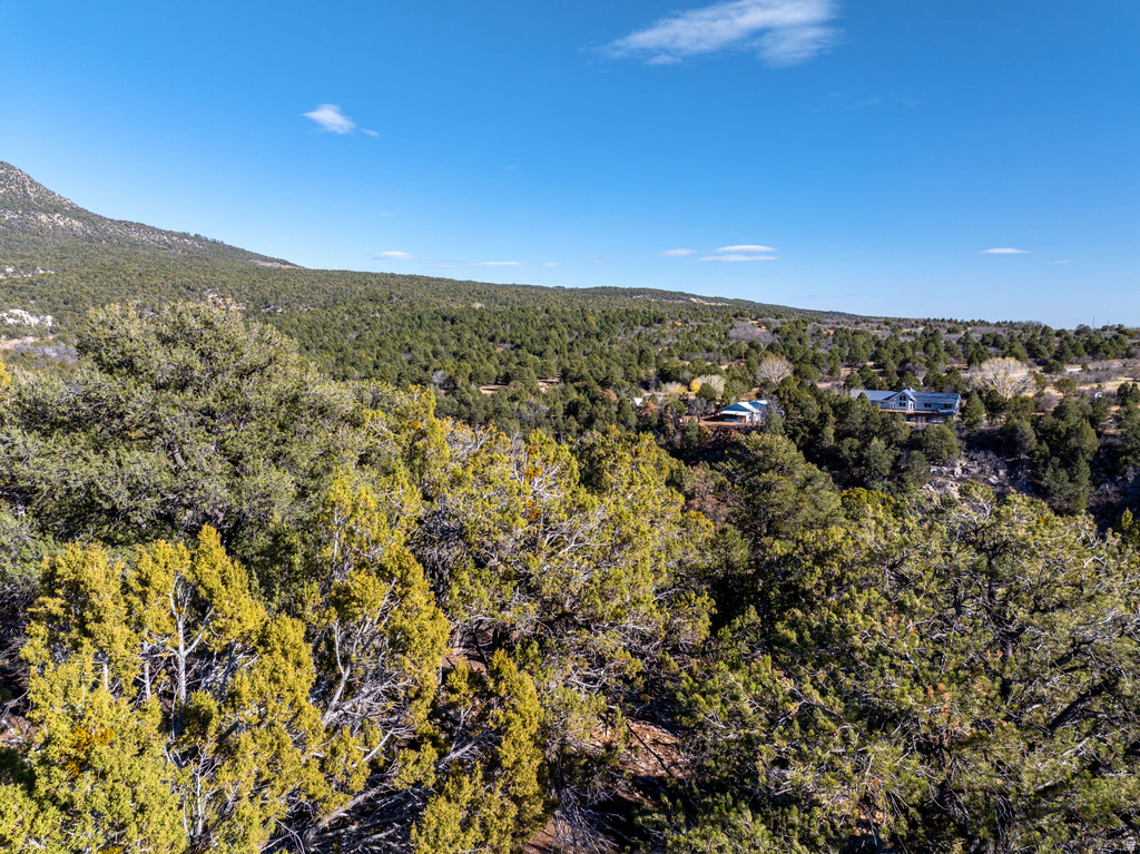 6 S NORTH FORK RD Orderville, UT 84758