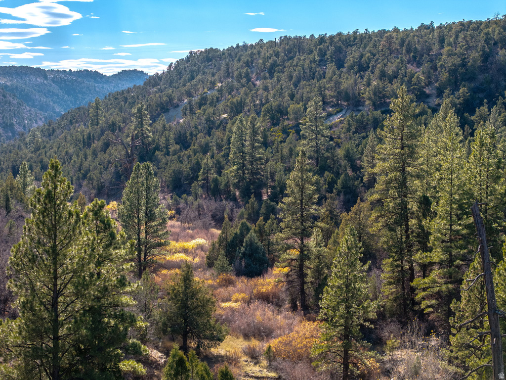 6 S NORTH FORK RD Orderville, UT 84758