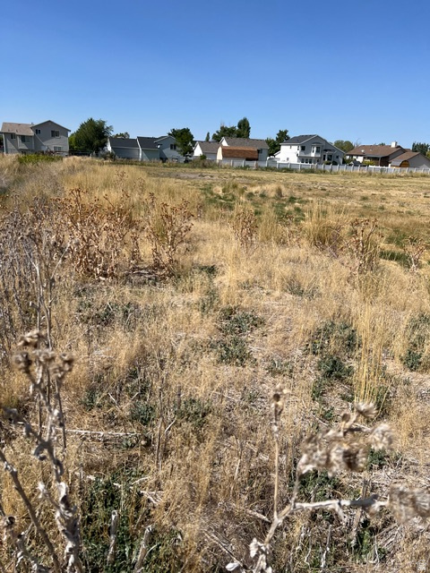 4950 S 3900 W Roy, UT 84067