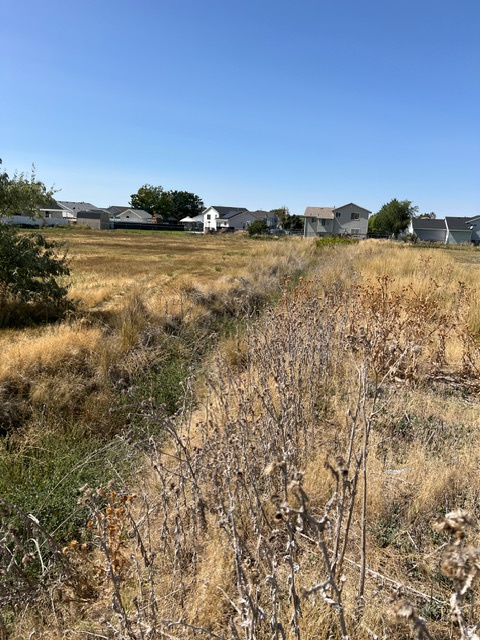 4950 S 3900 W Roy, UT 84067