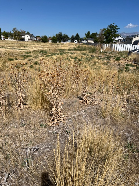 4950 S 3900 W Roy, UT 84067