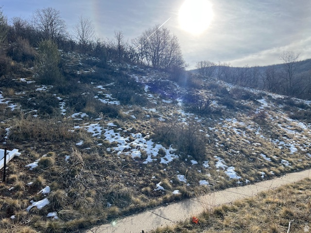 4031  MOUNTAIN OAKS DR Bountiful, UT 84010