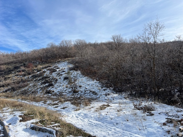 4031  MOUNTAIN OAKS DR Bountiful, UT 84010