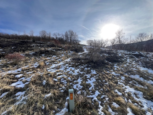 4031  MOUNTAIN OAKS DR Bountiful, UT 84010