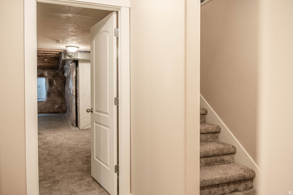 9242 N CORNWALL WAY Eagle Mountain, UT 84005