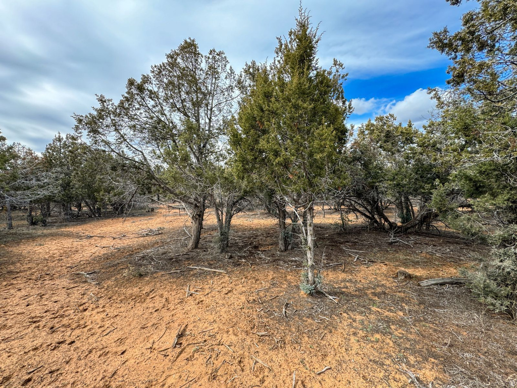 23  WHITE CLIFFS DR Orderville, UT 84758