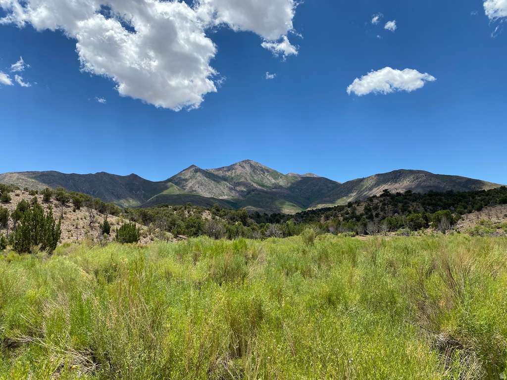  Hanksville, UT 84734