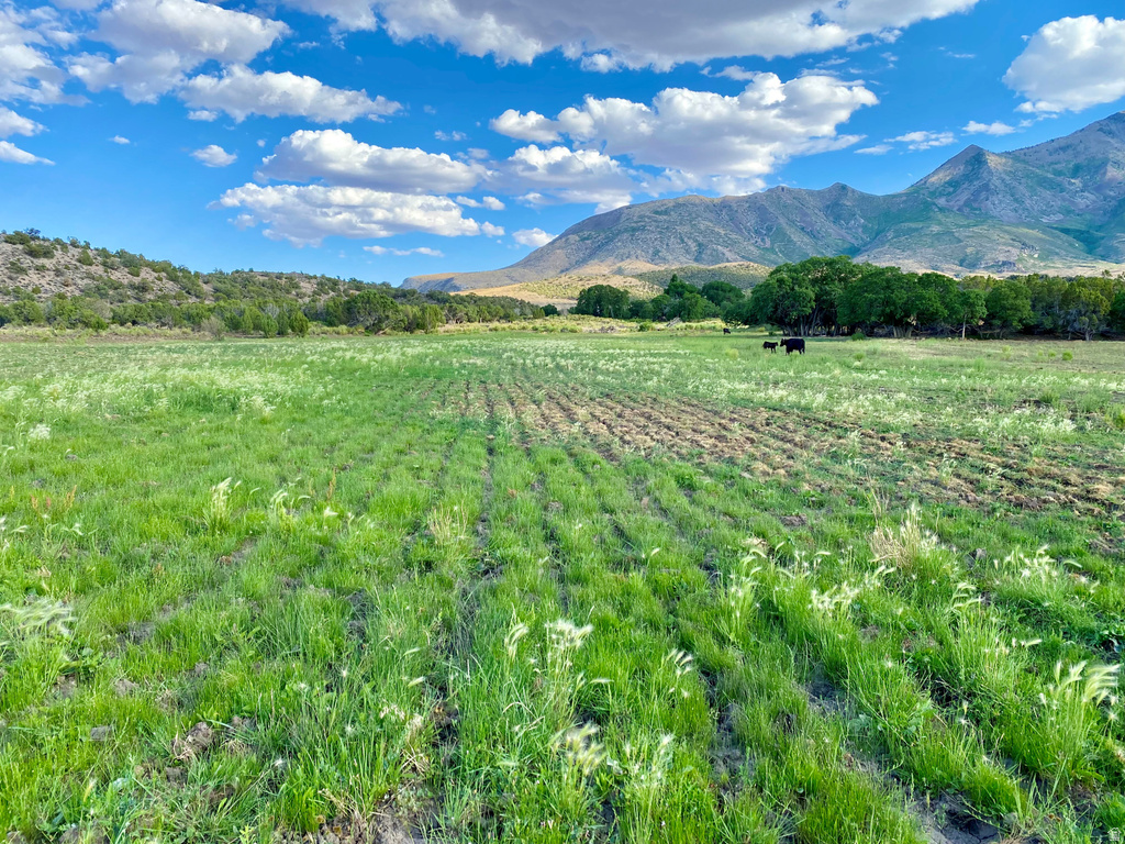  Hanksville, UT 84734