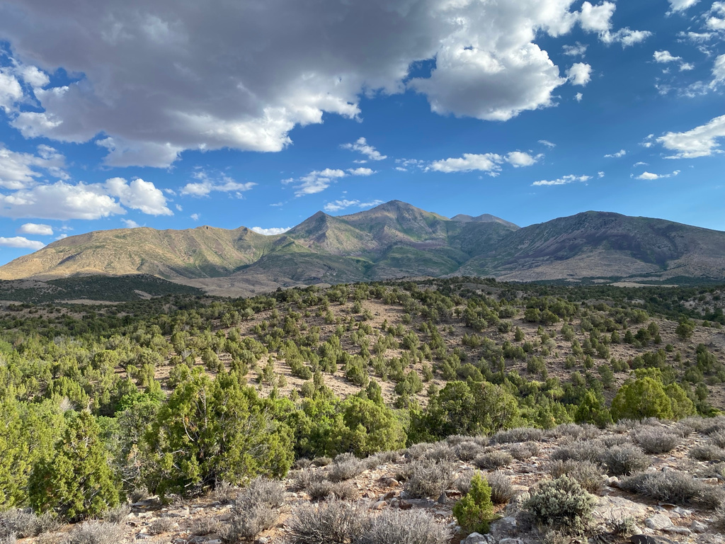  Hanksville, UT 84734