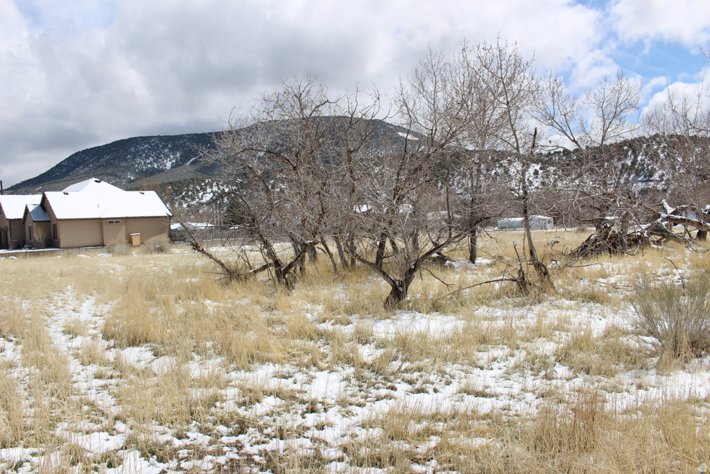 2172 E SPRING Beaver, UT 84713