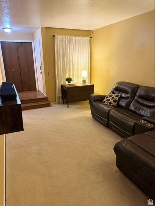 271 BROOKFIELD LN Centerville, UT 84014