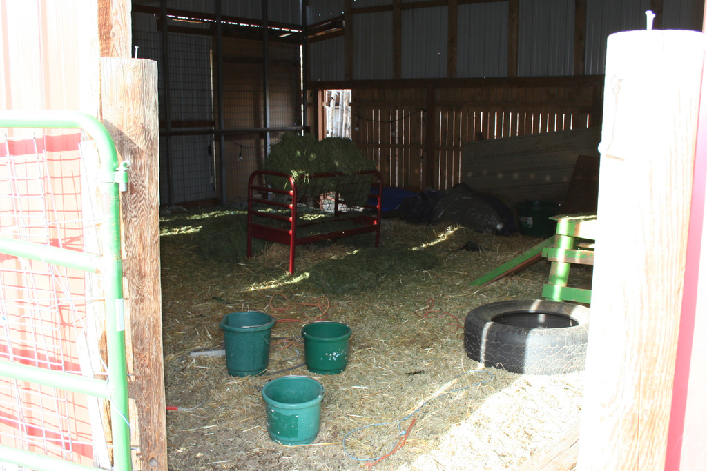 5868 N DRY FORK CANYON RD Vernal, UT 84078