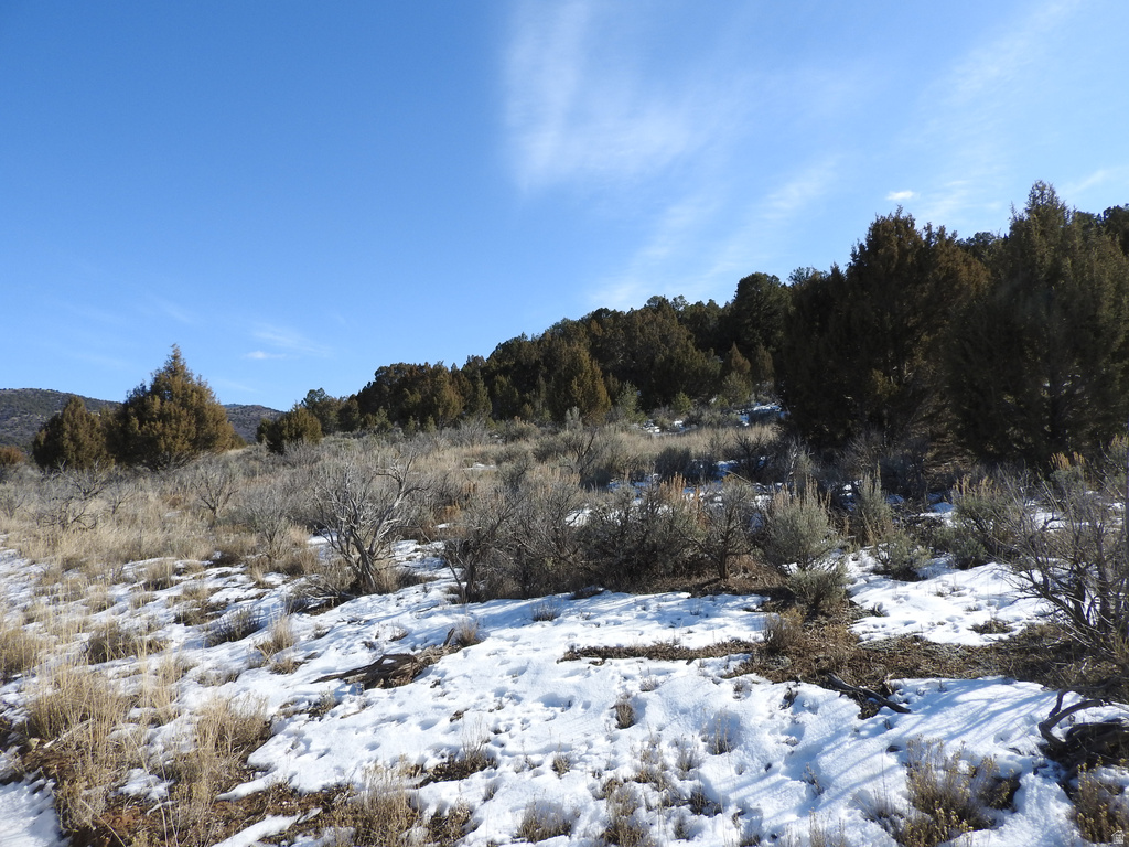 34465 N 9755 E Fairview, UT 84629