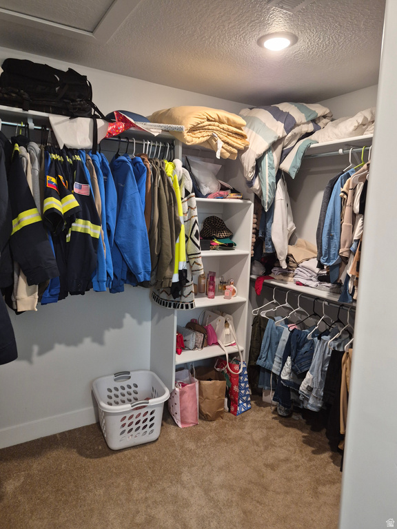 12346 S PESKY LN Herriman, UT 84096