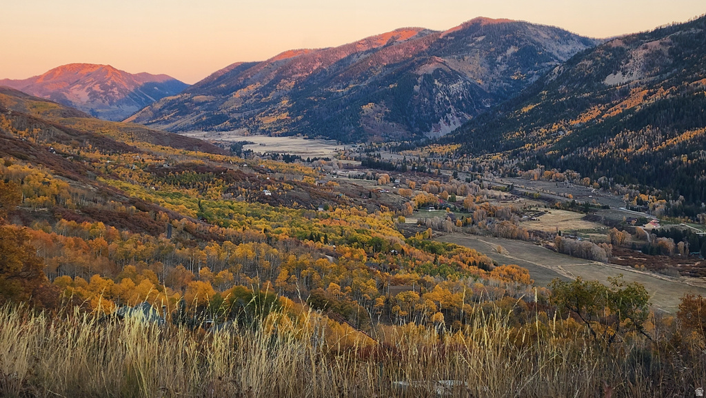 156  MOUNTAIN VW Oakley, UT 84055