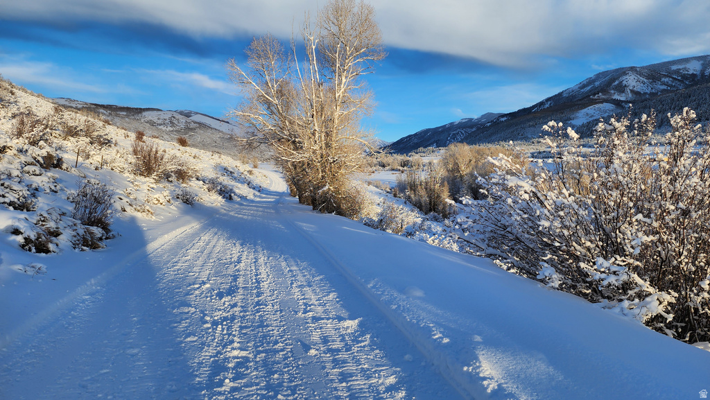 156  MOUNTAIN VW Oakley, UT 84055