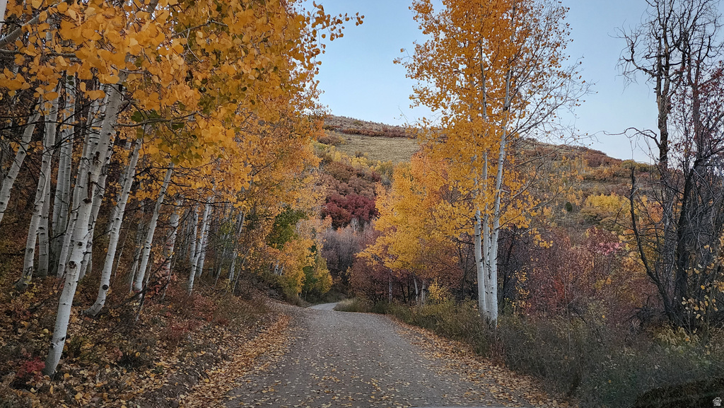 156  MOUNTAIN VW Oakley, UT 84055