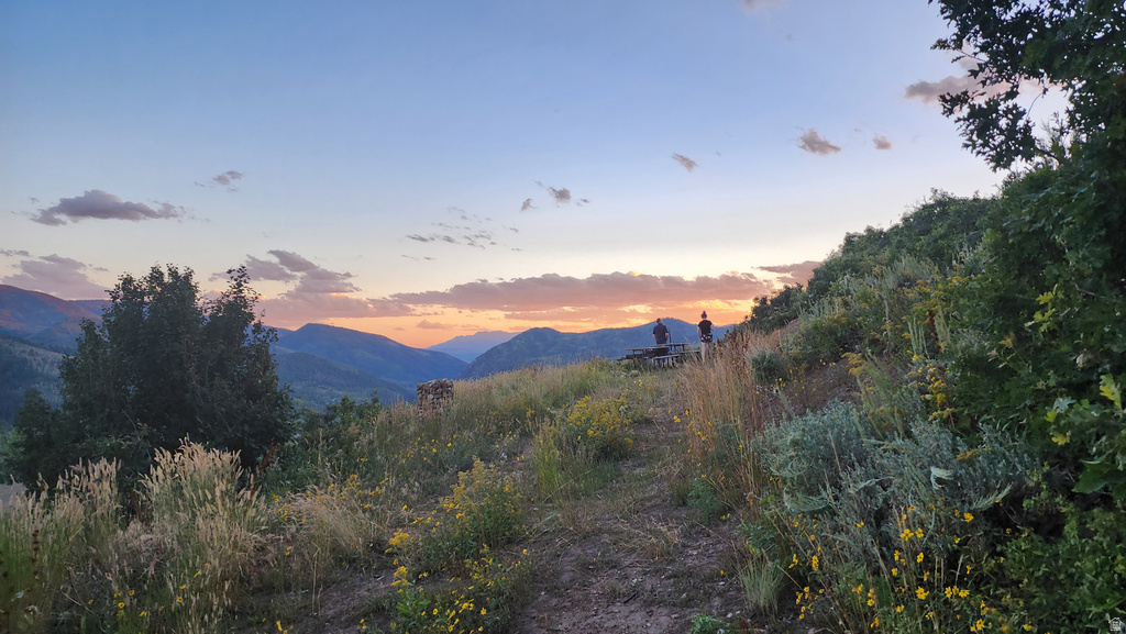 156  MOUNTAIN VW Oakley, UT 84055