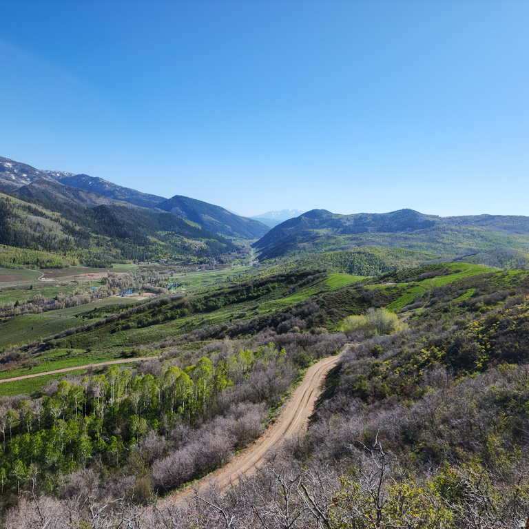 156  MOUNTAIN VW Oakley, UT 84055