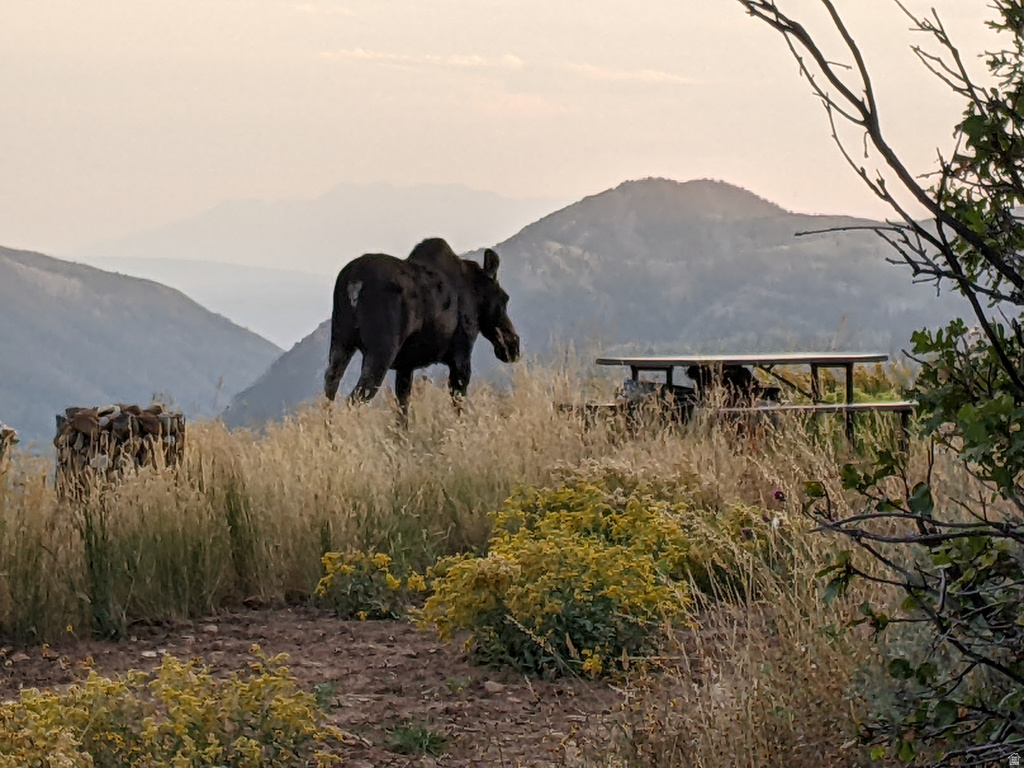 156  MOUNTAIN VW Oakley, UT 84055